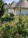 Agroturismo Piccadilly Farm Cottage