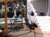 Bed & Breakfast Casa La Felicidad