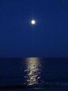 Beachfront Villa Veronica Directl Y From Owne R