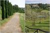 Sant'agostino Apartment Sleeps 6 Air Con