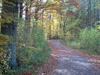 Sunlit Apartment With Garden In Satow Near The Forest