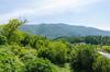 Villa Dalmatian Gem