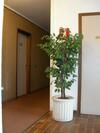 Aparthotel Residence Antica Fonte