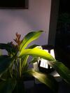Apartamento White Flower Lanta