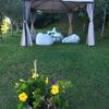 Agroturismo Agriturismo Casa Aurora