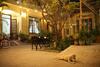 Hotel Le Robinet Homestay