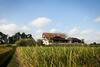 Kubu Kedungu Villas