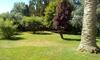 Apartamento Appartamenti Podere 13