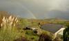 Bed & Breakfast Bryn Hebog