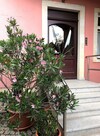 Apartment On The Elbe Ferry - Apartment For 2 - 3 People