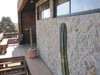 Bed & Breakfast Hostal Sirena