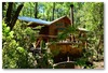 Lodge Tierra Escondida Caba�as Pucon