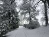 Bed & Breakfast West Plean House