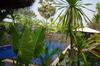 Hotel Manhattan Siem Reap Villa