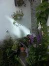 City Amalfi B&B