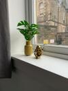 Smart 2 Bed Apartment Edinburgh City Centre Old To