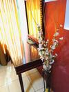 Aparthotel Ya Hala Hotel Suites