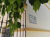 La Casita de La Maestra