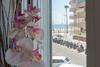 Apartamento Sirenas - Cadiz