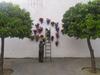 Apartamento Los Patios de Cordoba