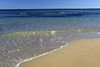 Apartamentos Jessica Beach