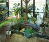 Hotel Flamingo Oasis