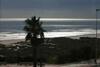 Apartamento �tico Las Minvas 1� Linea de Playa