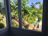 Apartamento Los Barqueros Corralejo Fronte Spiaggia Centro Citt�