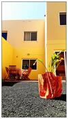 Apartamento Lur de La Playa