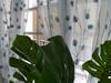Apartamento Tropical Loft