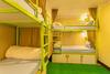 Big Tree Hostel