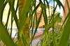 Apartamento El Rinc�n de Denia - Paraiso Del Sol
