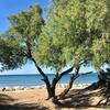 Villa Denia Costa Blanca