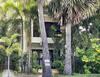 Hotel Dontrei Jungle Villa