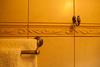 Porto Veneziano Boutique Hotel