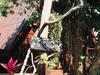 Hostal Mondulkiri Pizza Bungalows
