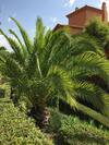Marbella West Luxoury Apartment