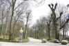 Hotel Landgoed Oldruitenborgh - Hampshire Classic