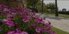 Apartamento Parque Botanico Resort & Country Club