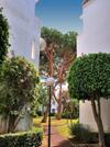 Sun Beach Apartment