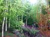 Villa Birches Luxury Spa Chalets