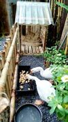Apartamento Nh� C?a Ng?ng - Goose Home