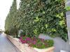 Guardamar Hill Sea View Apartment
