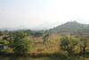 Villa Ivy Maitri Farm 3 Bhk With Private Pool - Badlapur