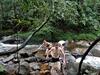 Hostal Evergreen Villa - Sinharaja
