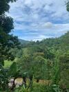 Hostal Evergreen Villa - Sinharaja