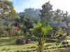 Lodge Canyon Jungle Stay