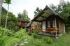 Lodge Canyon Jungle Stay