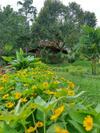 Lodge Canyon Jungle Stay