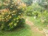 Bed & Breakfast Bamboo Home Stay Hiriketiya